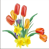 CorelDraw Vectors CDR File – Vector Tulip Flowers illustration – Download CorelDraw vector tulip flower design