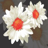 CorelDraw Vectors CDR File – Vector White Flower Free Download